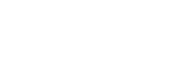 robust_logo